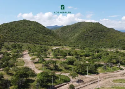 Lotificación Los Nopales