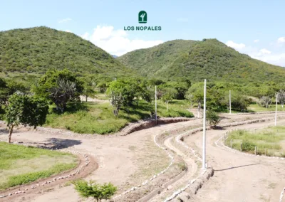 Lotificación Los Nopales