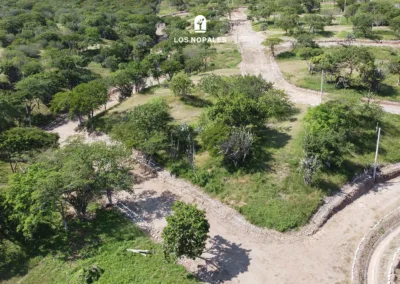 Lotificación Los Nopales
